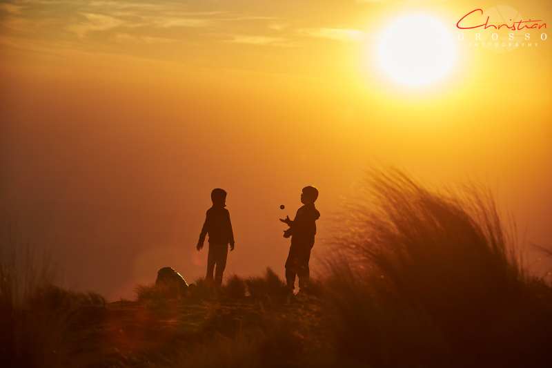 2MS12224