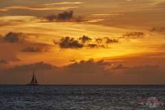 2011-Canon-6D-IMG_10729