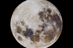 000__D2_5825_quality_100-2-copia