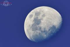 Tif_lapl4_ap82399-Registax