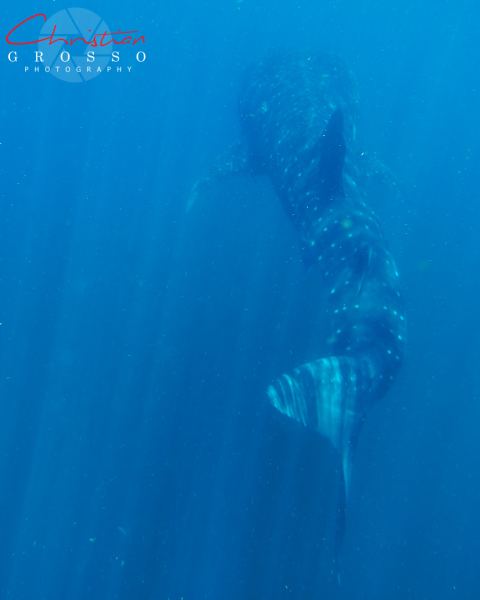 1_DSC01630