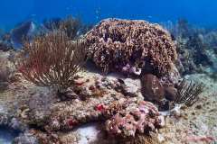 0725-Canon-G12-IMG_8630