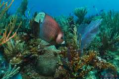 0741-Canon-G12-IMG_8646