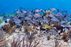 0838-Canon-G12-IMG_8744