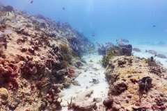 0848-Canon-G12-IMG_8754