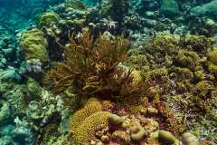 1171-Canon-G12-IMG_5104