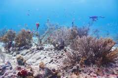 1709-Canon-G12-IMG_5369