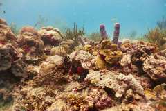 1711-Canon-G12-IMG_5372