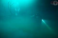 DSC01408