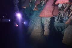 DSC01901
