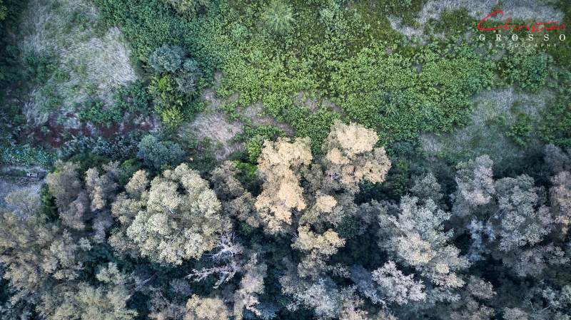 DJI_0014