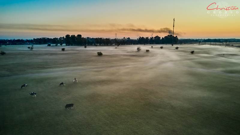 DJI_0534
