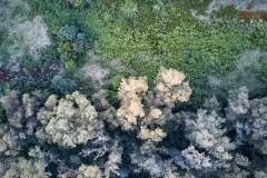DJI_0014