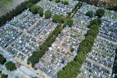 DJI_0290