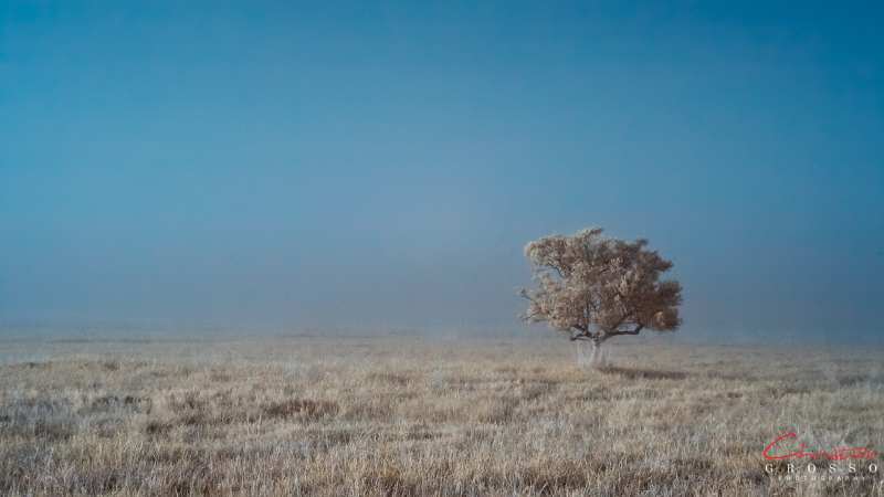 MG_0169-16x9