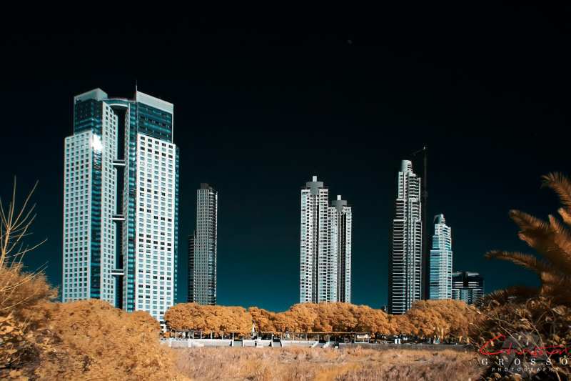 MG_3964