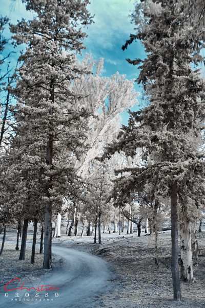 MG_7962